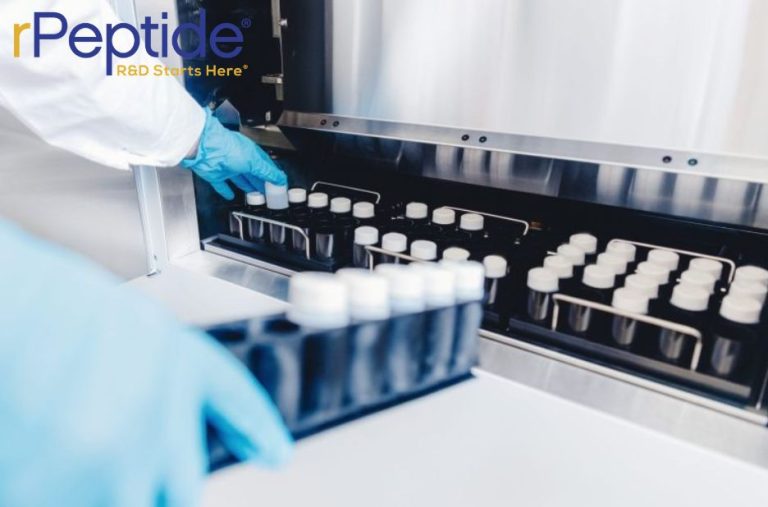 Expert Peptide Services for Precise, Verified Results