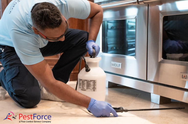 Effective Pest Solutions for Homes and Businesses in Alberta