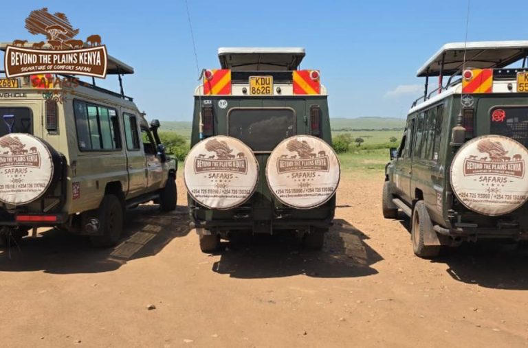 Hidden Gems of East Africa: A Memorable Safari Adventure