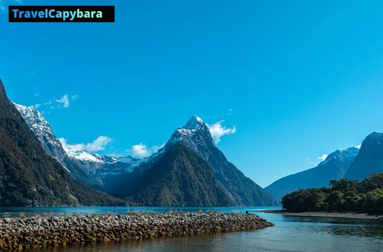 Stay Ahead of the World: Fresh Updates for Curious Travellers Stay Ahead of the World: Fresh Updates for Curious Travellers