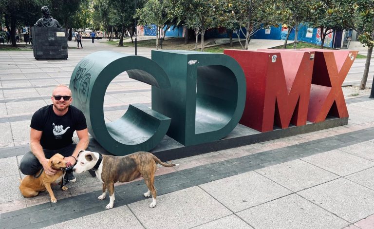 How to Navigate Global Pet Travel Rules