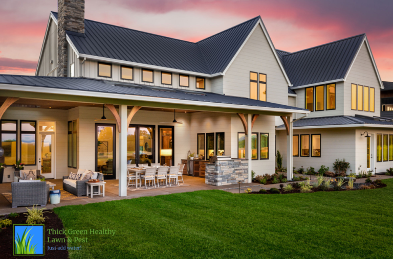 Practical tips for vibrant San Antonio lawns