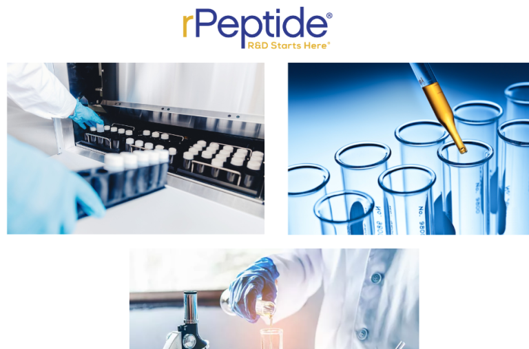 Understanding Protein Fragments: From Basics to Research Implications