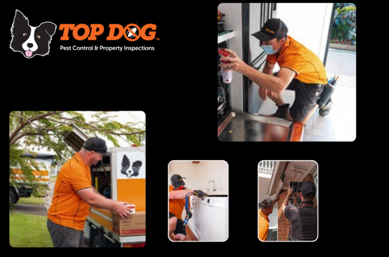 Effective pest solutions for homes in Pacific Pines and surrounds