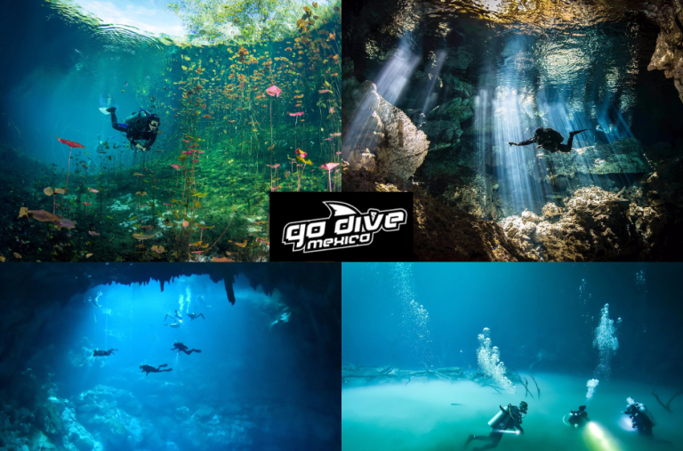 Dive into the Caribbean: Tulum’s underwater wonders and tips