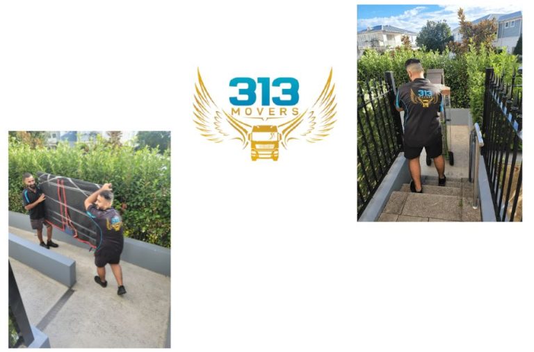 Efficient Relocation Solutions in Brisbane for Businesses and Homes