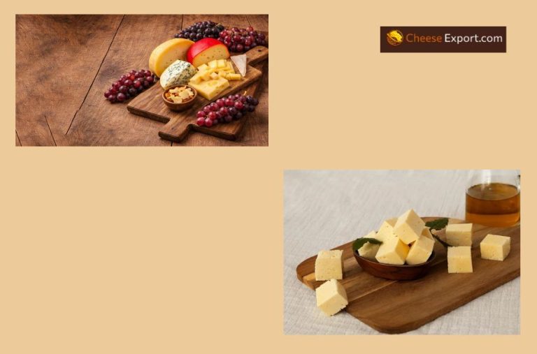 Reliable partners for cheese export across borders Reliable partners for cheese export across borders