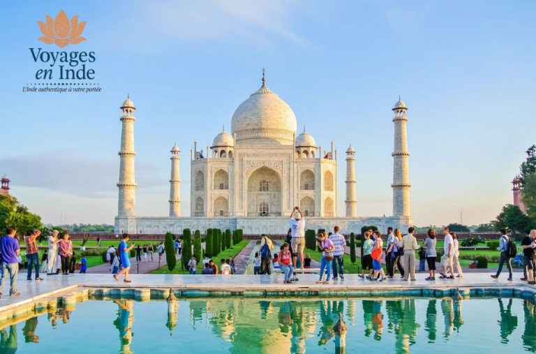 Observations rares: Safari et trésors du Rajasthan sans frontière