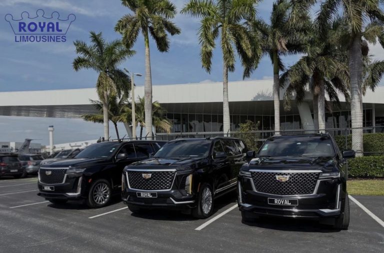 Flexible, premium car and driver on demand for your busy day Flexible, premium car and driver on demand for your busy day