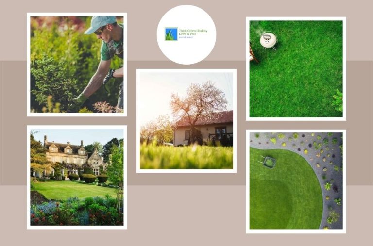 Effective Customized Lawn Fertilization Plans for Healthier, Greener Lawns Effective Customized Lawn Fertilization Plans for Healthier, Greener Lawns