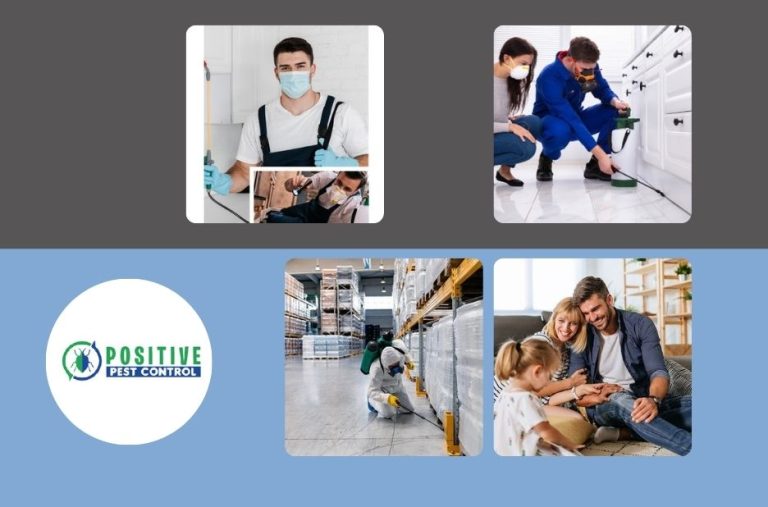 Top Calgary Exterminator Services for Effective and Affordable Pest Control