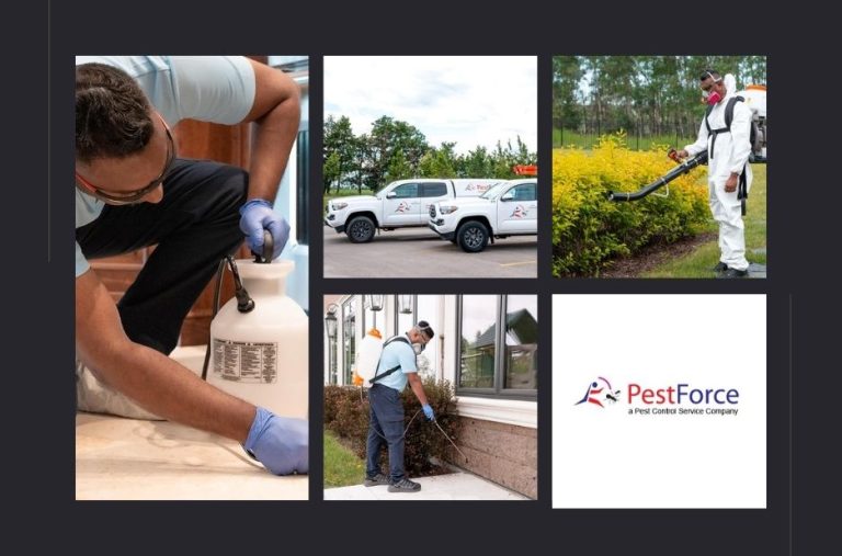 Top Exterminator Calgary Services for Effective Pest Control and Prevention