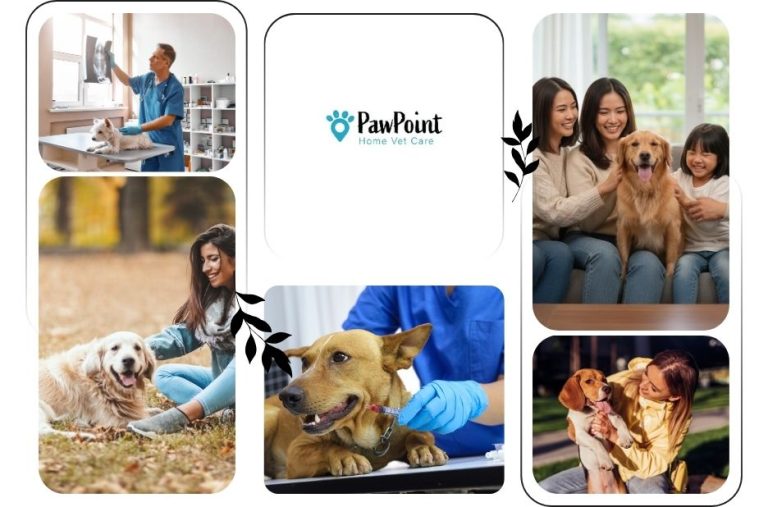 Compassionate Mobile Pet Euthanasia Services for Stress-Free Pet Care at Home
