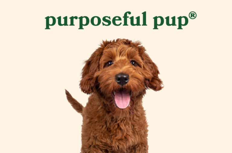 Top US Pork Dog Treat Online Store for Natural and Healthy Snacks Top US Pork Dog Treat Online Store for Natural and Healthy Snacks