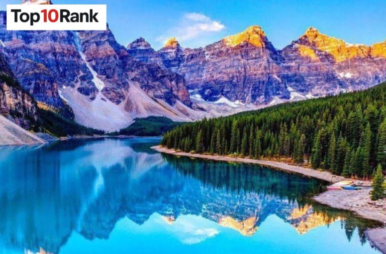 Best Telegram Update Channels You Should Join Now