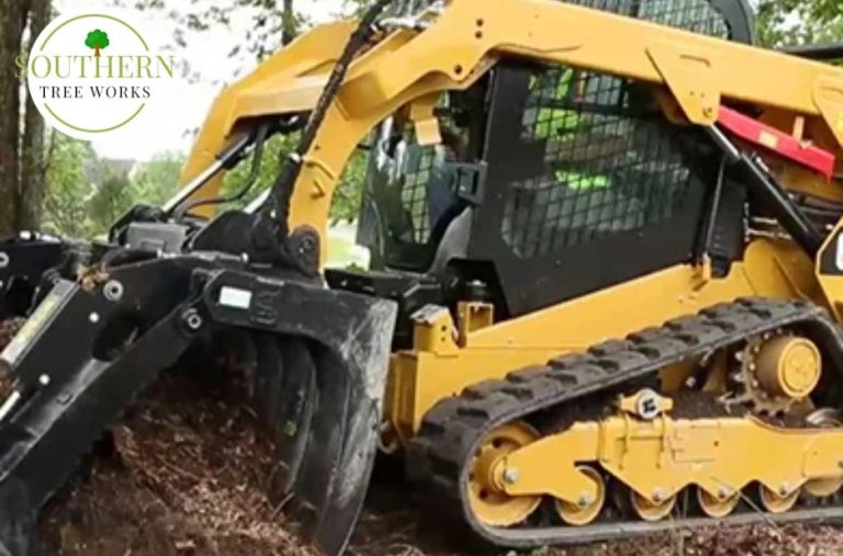Discover Practical Tree Care and Services for Your Neighborhood