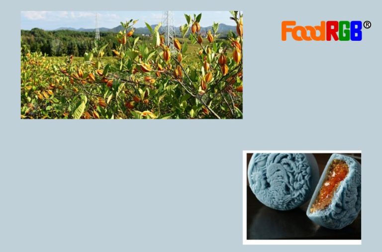 Choosing wholesome hues for homemade sweets Choosing wholesome hues for homemade sweets