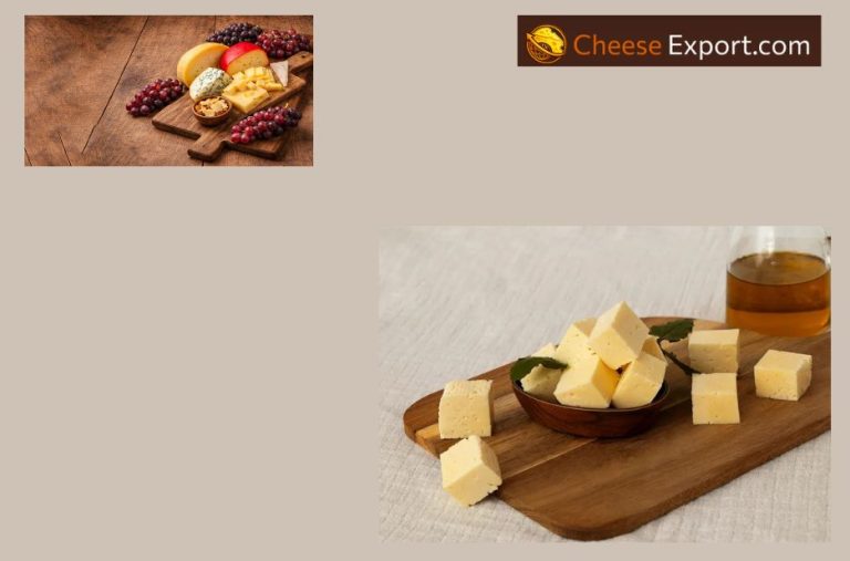 Essential Guide to Cheese Export Compliance and Paperwork