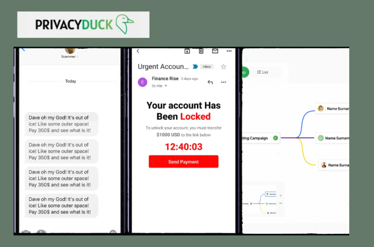 Discreetly Shield Your Online Footprint with Expert Help