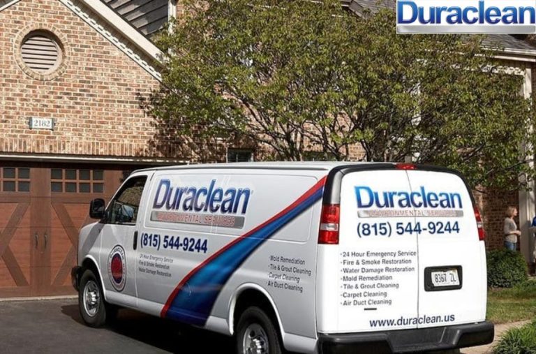 Reliable Carpet Cleaning in Rockford for Fresh, Clean Rugs