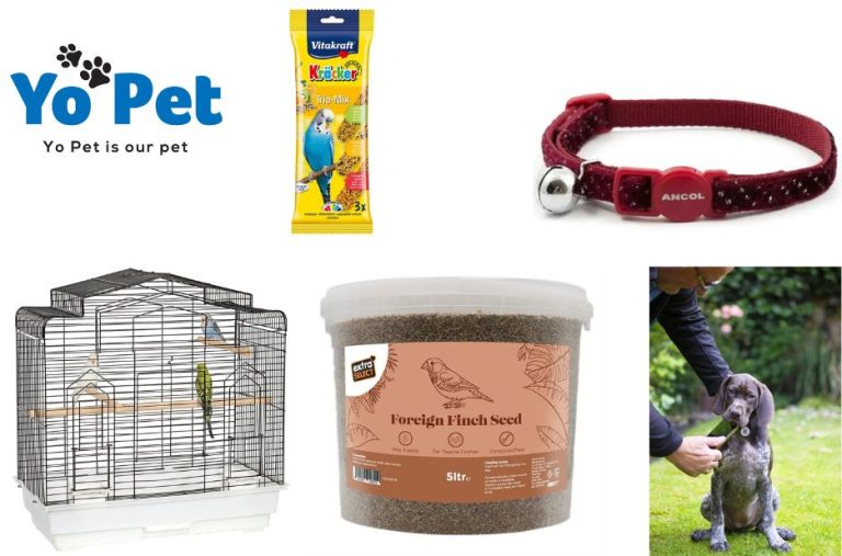 Buy Pet Gear Ramps for Sale in UK – Affordable Durable Ramps at Yopet.co.uk