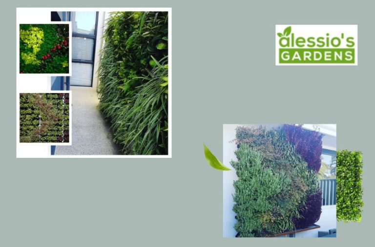 Transforming Perth Outdoor Spaces with Practical Garden Expertise