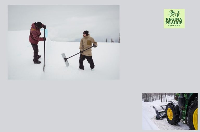 Professional exterior upkeep for Regina homes and bins