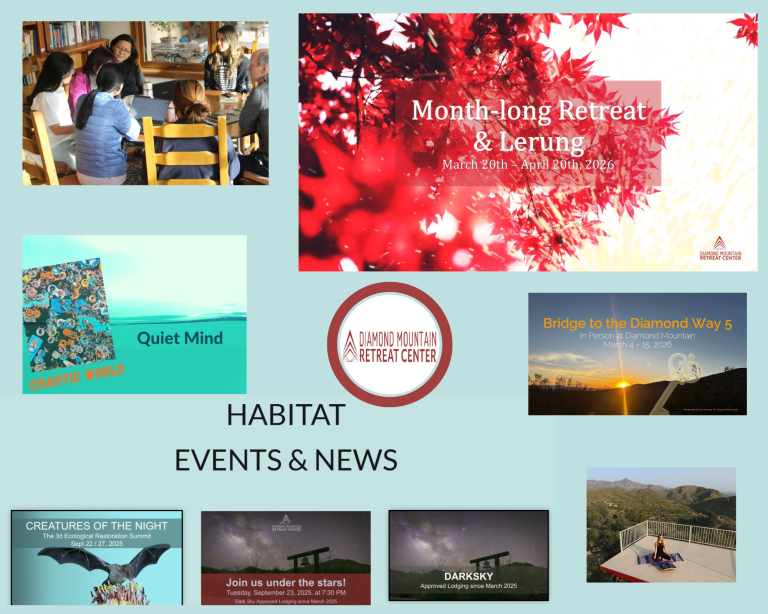 Journey to stillness: a tranquil guide for mindful retreats