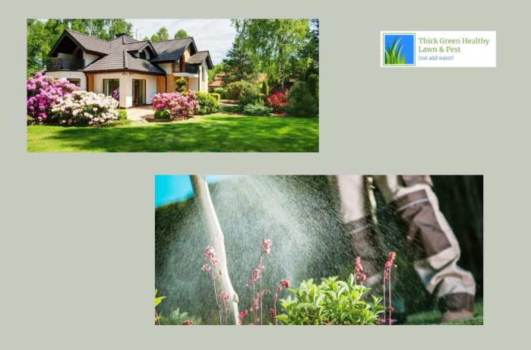Trusted lawn care for your neighbourhood home Trusted lawn care for your neighbourhood home