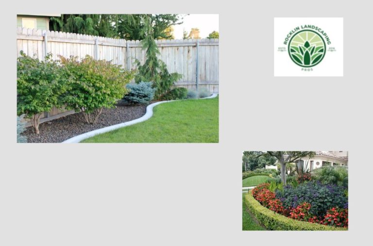 Transform Your Outdoor Space with Expert Garden Design and Care Transform Your Outdoor Space with Expert Garden Design and Care