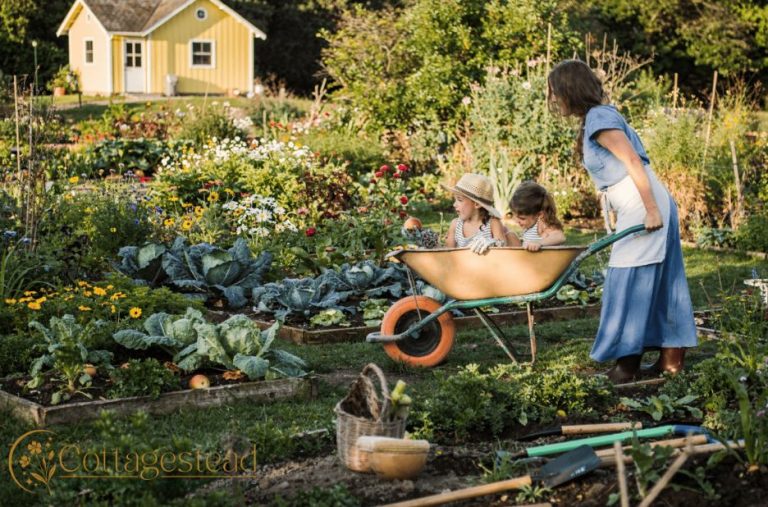 Tiny Farm, Big Yield: Practical Ideas for Compact Homesteading