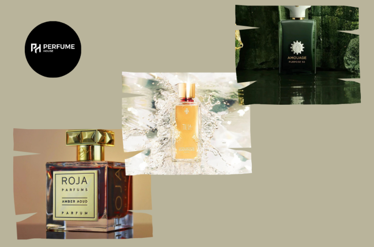 A Fragrance That Sparks Bright Citrus and Warm Woods