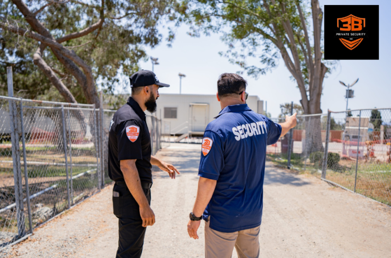 Comprehensive Security Solutions for LA Professionals