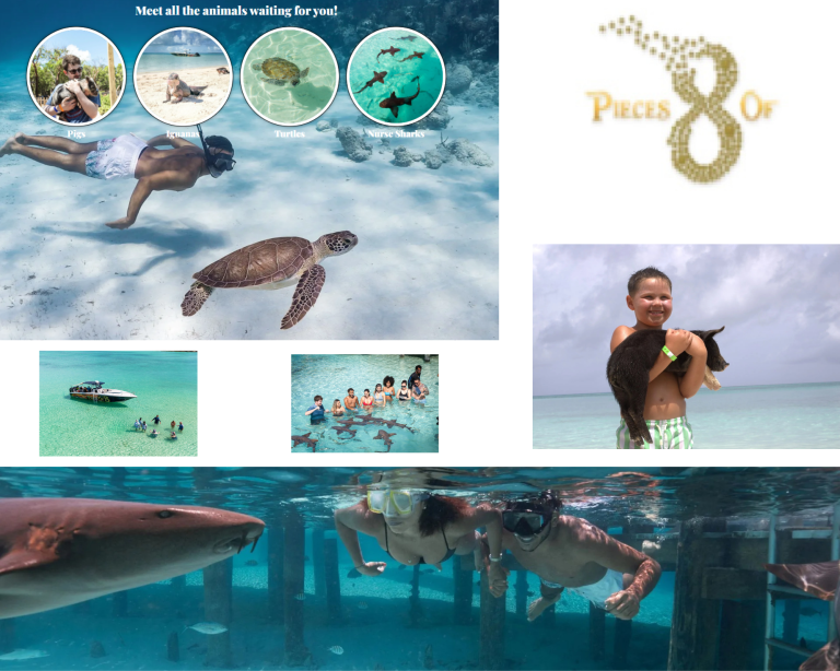 Escape to a tropical city break near Los Angeles