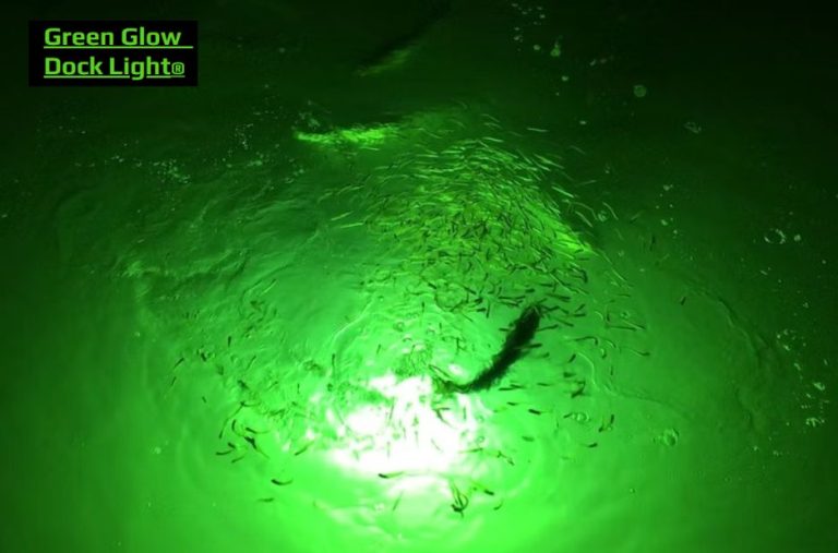 Top Underwater Fishing Lights for Night Angling in the UK