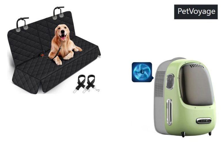 Cross-Border Pet Moves: A Practical Guide Cross-Border Pet Moves: A Practical Guide