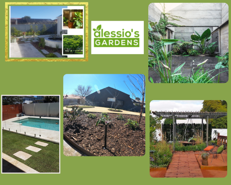 Transform Your Walls with Lush Green Vertical Plant Displays