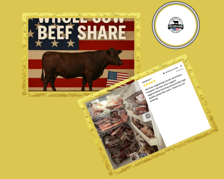 Premium Beef Shares: Split Cattle Arrangements Near You