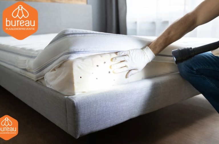 Vijand van Duif: Effectieve Oplossingen om Duiven Uit Uw Huis te Houden Vijand van Duif: Effectieve Oplossingen om Duiven Uit Uw Huis te Houden
