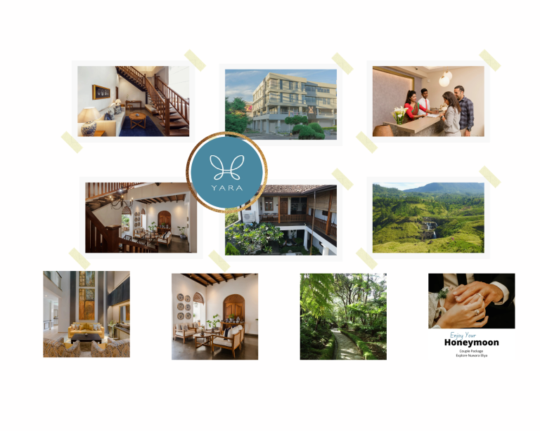 Luxurious Coastal Retreats in Galle for Discerning Travellers Luxurious Coastal Retreats in Galle for Discerning Travellers
