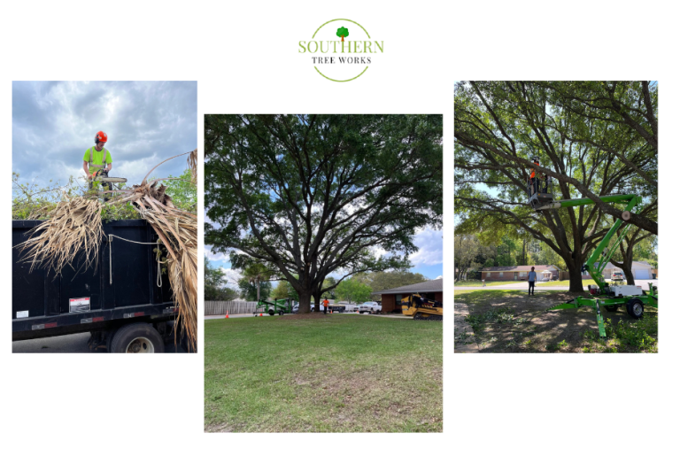 Expert Outdoor Upgrades for Dothan Properties