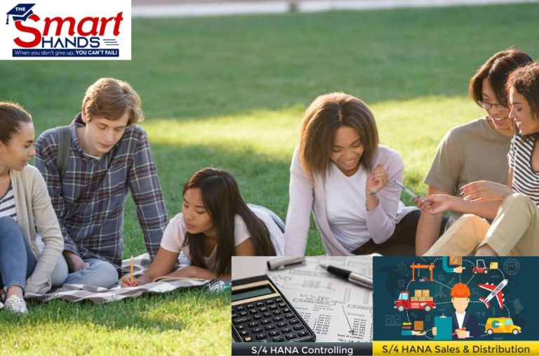 Mastering SAP SD: A Practical Path to ERP Excellence