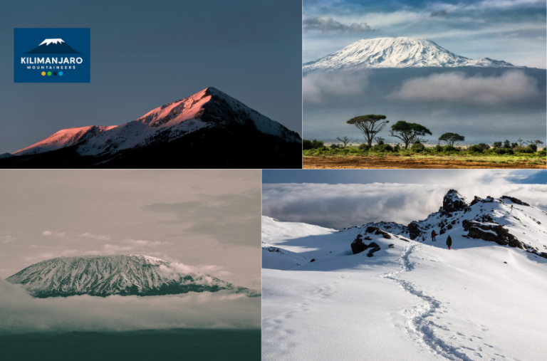 Tailored Kilimanjaro climbs for your group—private expeditions Tailored Kilimanjaro climbs for your group—private expeditions