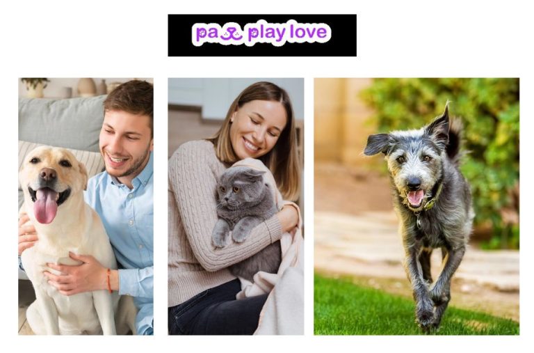 Find Love with the Best Dating App for Dog Owners – Connect on Petdatingnearme.com Find Love with the Best Dating App for Dog Owners – Connect on Petdatingnearme.com