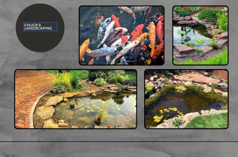 Expert Lawn Sprinkler System Installation for Efficient and Healthy Irrigation Solutions