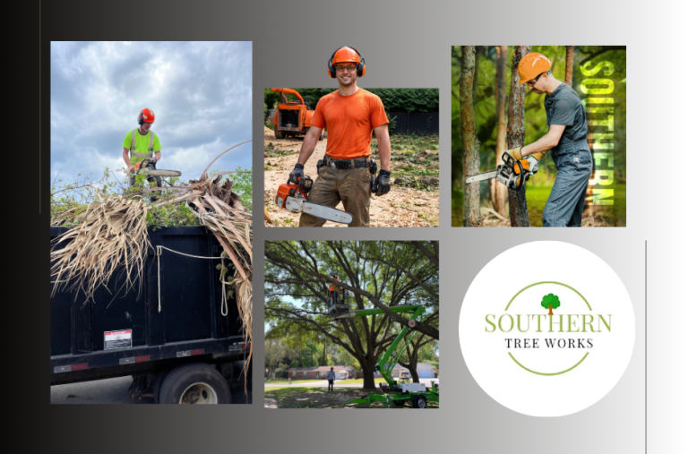 Southern Tree Works: Expert Tree Services for Safe Removal, Trimming, and Maintenance Southern Tree Works: Expert Tree Services for Safe Removal, Trimming, and Maintenance