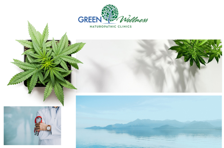 Find Certified Marijuana Doctors Near You for Expert Medical Cannabis Care