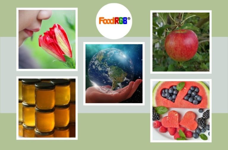 Find Reliable Food Coloring Powder Suppliers for High-Quality Natural Colors
