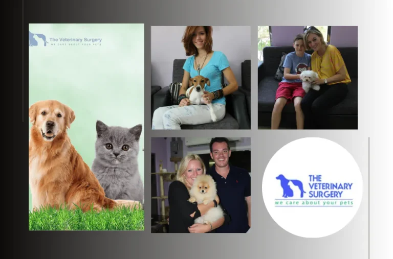 Top Veterinary Clinic Doha for Expert Pet Care and Wellness Services