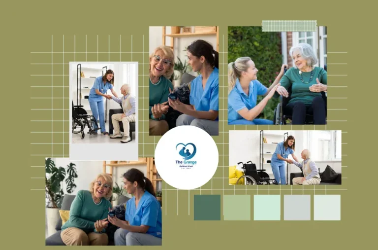 Top Private Homes for Elderly Care Offering Personalized and Compassionate Support